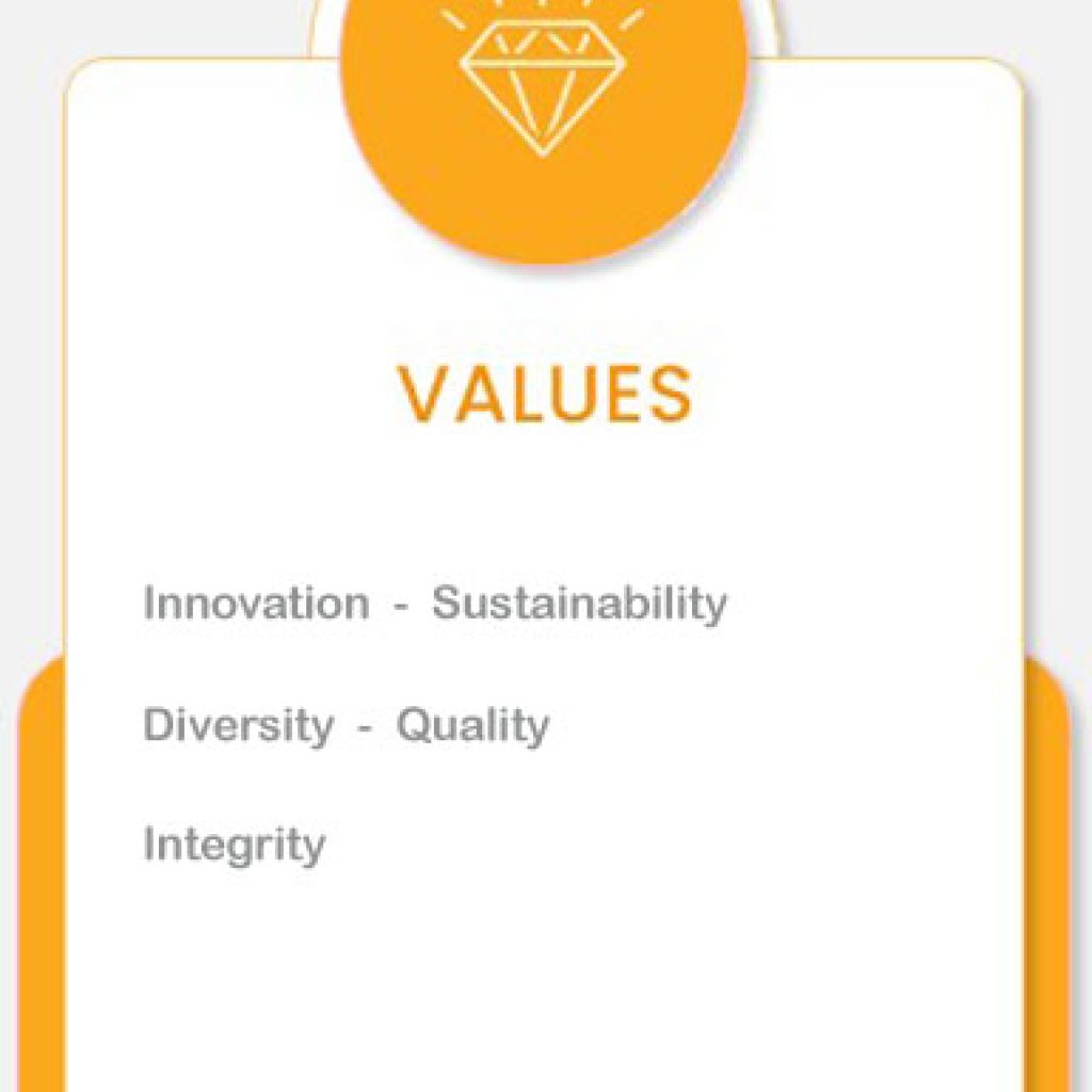 values-1